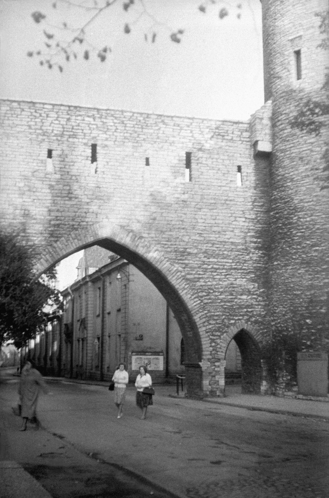 Крепостные стены старого Таллина, июнь - август 1964, Эстонская ССР, г. Таллин. 