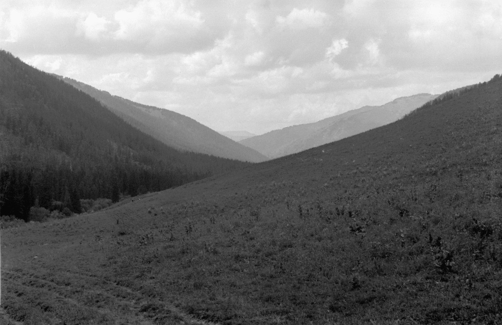 Алтайские долины и склоны, 12 августа 1989, Горно-Алтайская АО, Усть-Коксинский р-н. 