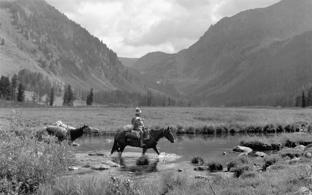 Переправа на лошадях через реку Собачья Тихая, 12 августа 1989, Горно-Алтайская АО, Усть-Коксинский р-н. 