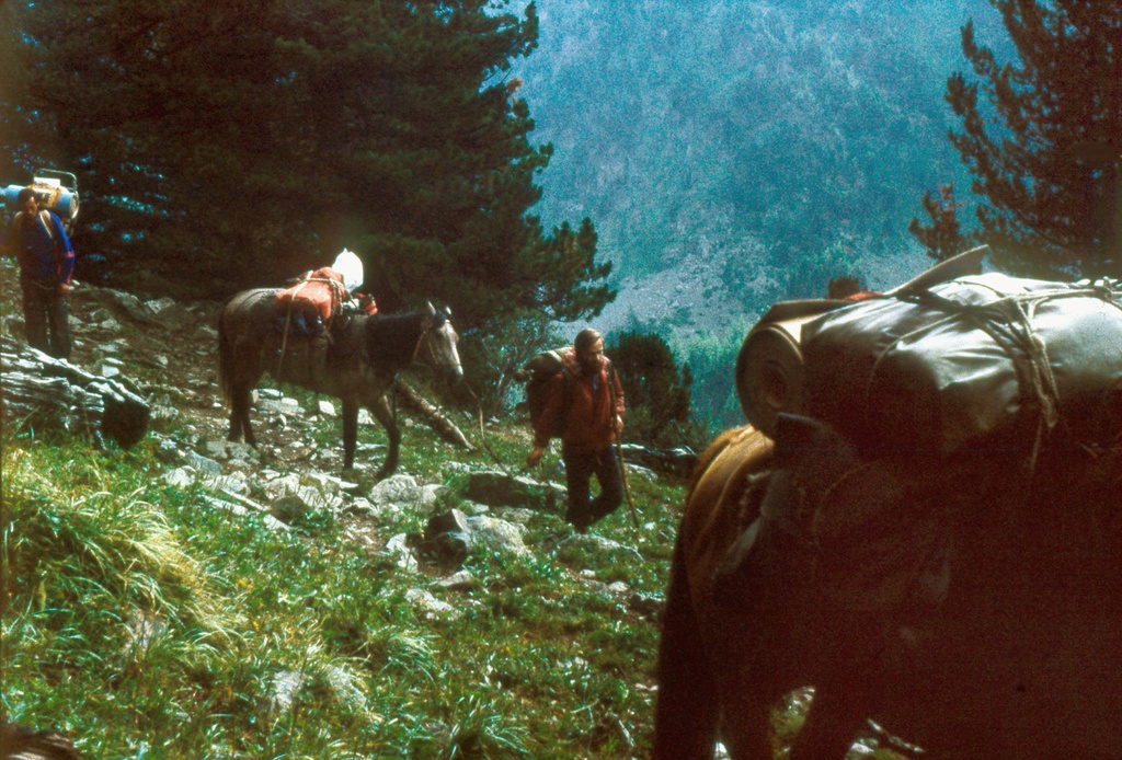 Туристы с лошадьми спускаются с перевала в долину, 12 августа 1989, Горно-Алтайская АО, Усть-Коксинский р-н. 
