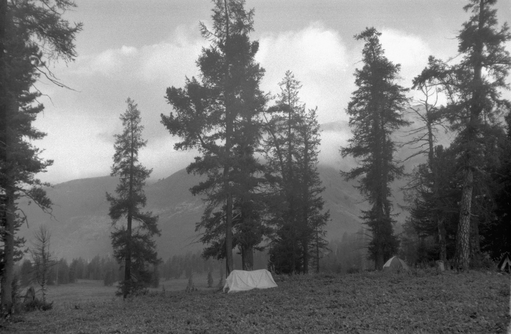 Утро в долине горного Алтая, 13 августа 1989, Горно-Алтайская АО, Усть-Коксинский р-н. Выставка «Безмолвие Алтая» с этим снимком.