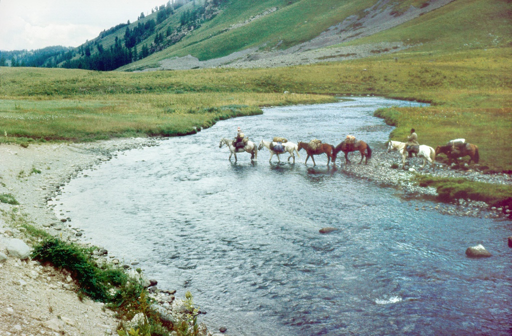 Караван лошадей переправляется через реку Тихая, 13 августа 1989, Горно-Алтайская АО, Усть-Коксинский р-н. Долина реки Тихая.