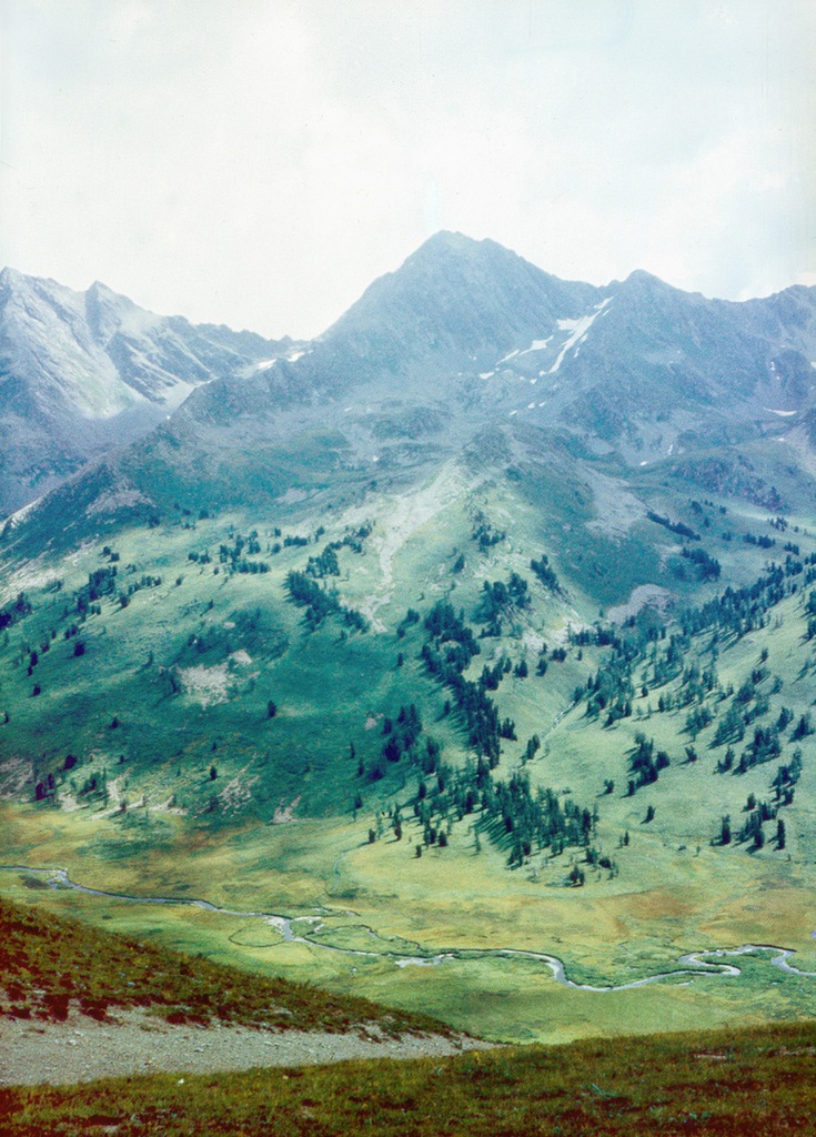 Вид  с перевала на долину реки Тихая, 13 августа 1989, Горно-Алтайская АО, Усть-Коксинский р-н. Долина реки Тихая.