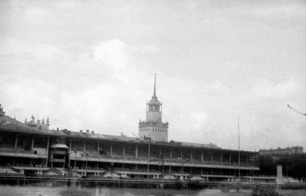 Московский ипподром, август 1979, г. Москва. 