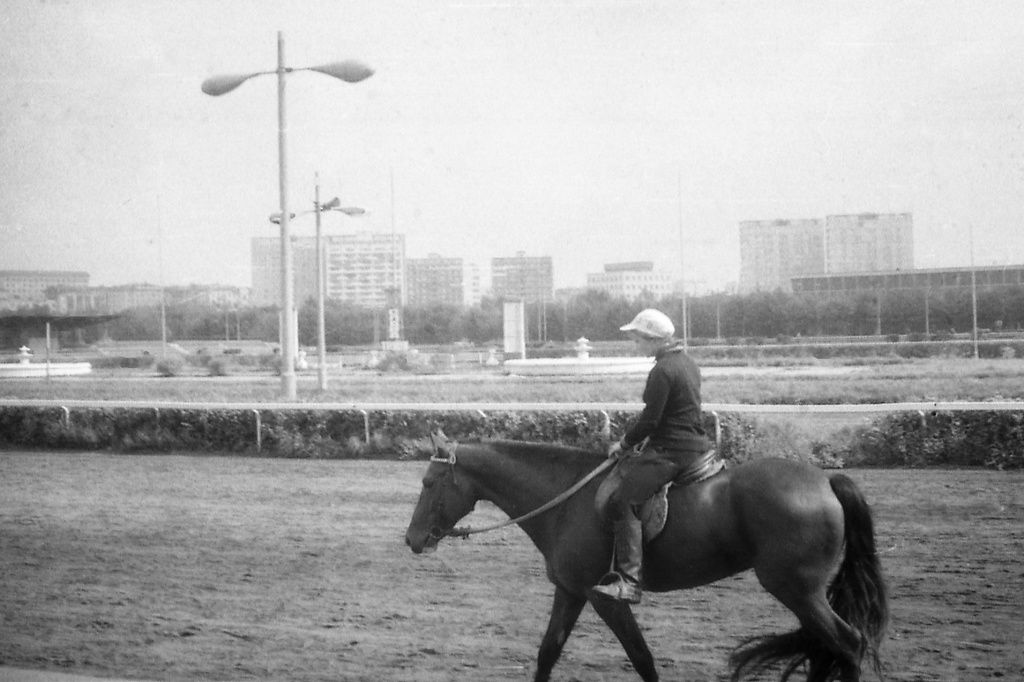 Тренировка в будний день на Московском ипподроме, август 1979, г. Москва. 