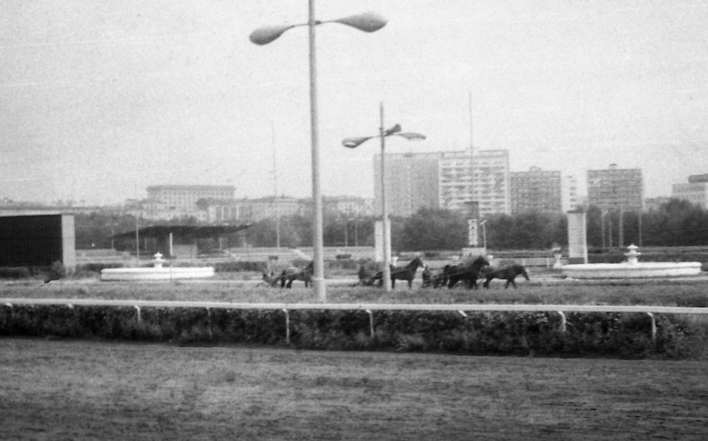 Тренировка в будний день на Центральном московском ипподроме, август 1979, г. Москва. 