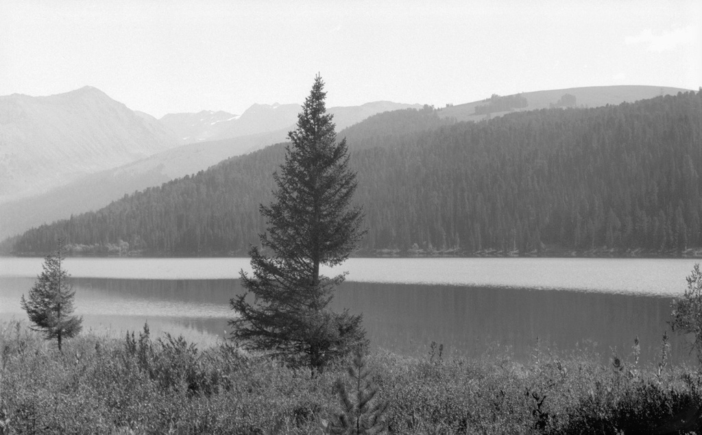 Утро на озере Тальмень горного Алтая, 14 августа 1989, Горно-Алтайская АО, Усть-Коксинский р-н. Выставка «Безмолвие Алтая» с этим снимком.