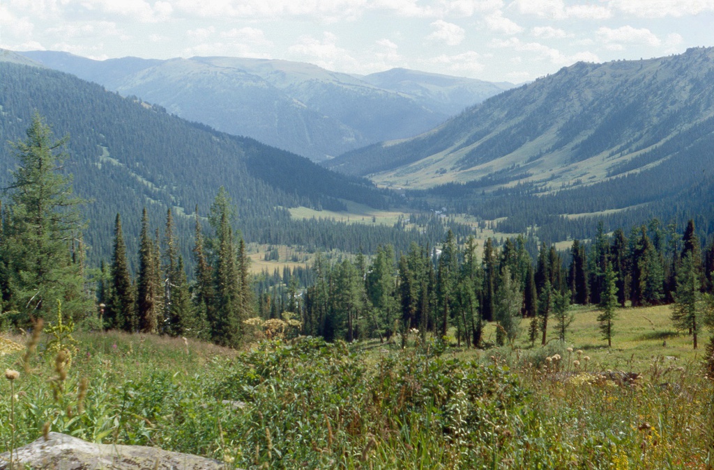 Долина реки Озерная на Алтае, 15 - 19 августа 1989, Горно-Алтайская АО, Усть-Коксинский р-н. 