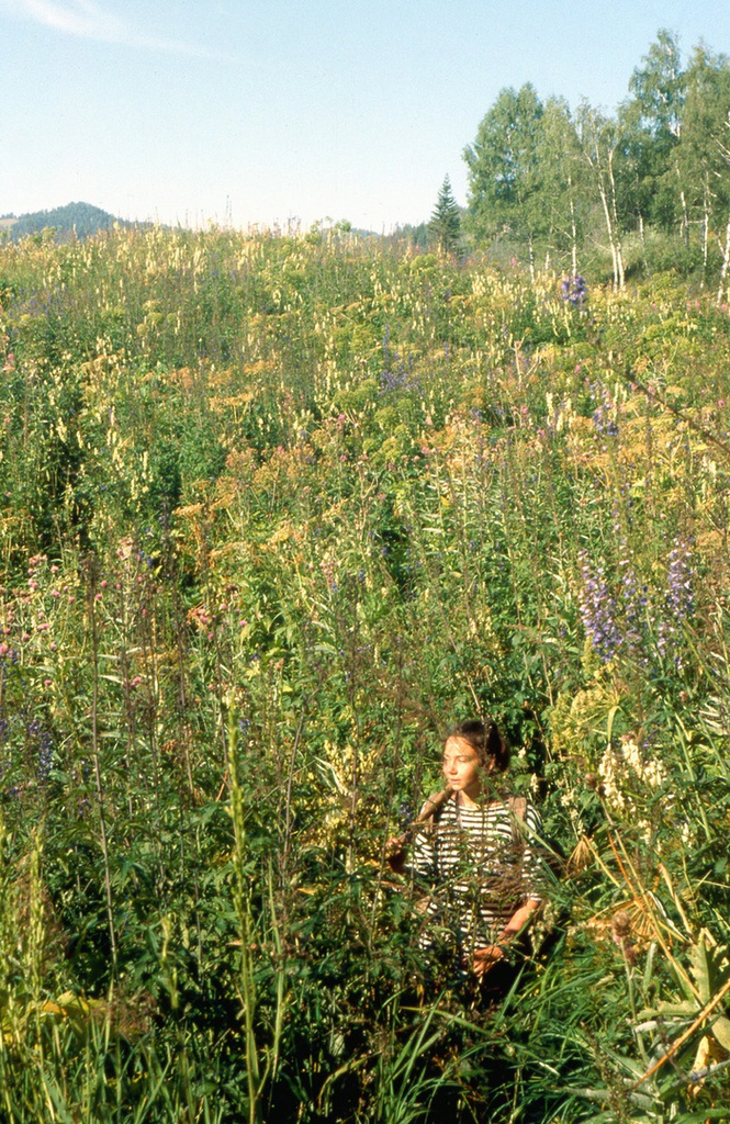 Ольга Афанасьева на Алтае среди трав, 19 августа 1989, Горно-Алтайская АО, Усть-Коксинский р-н. 