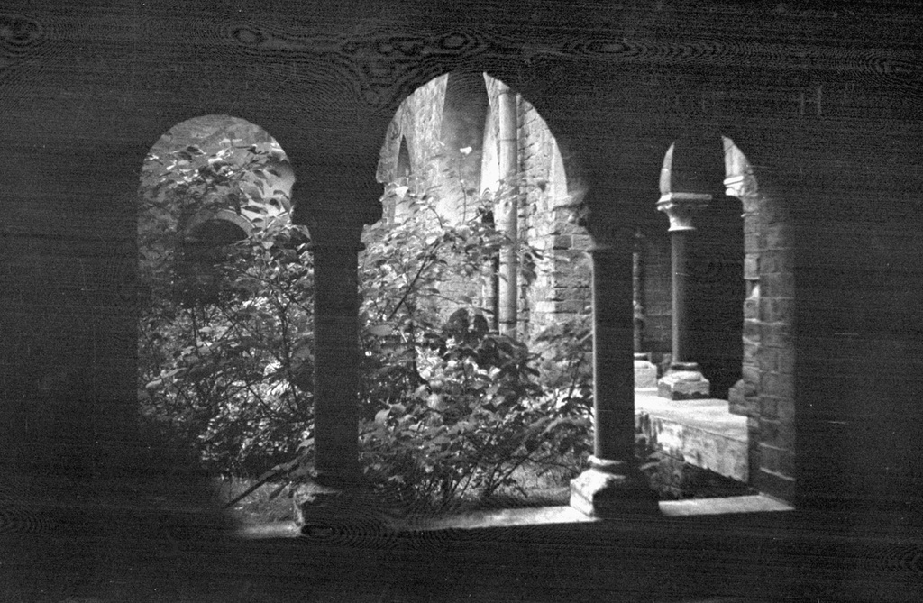 Домский сад на территории Домского собора в старой Риге, 1 июня 1963 - 1 сентября 1963, Латвийская ССР, г. Рига. 