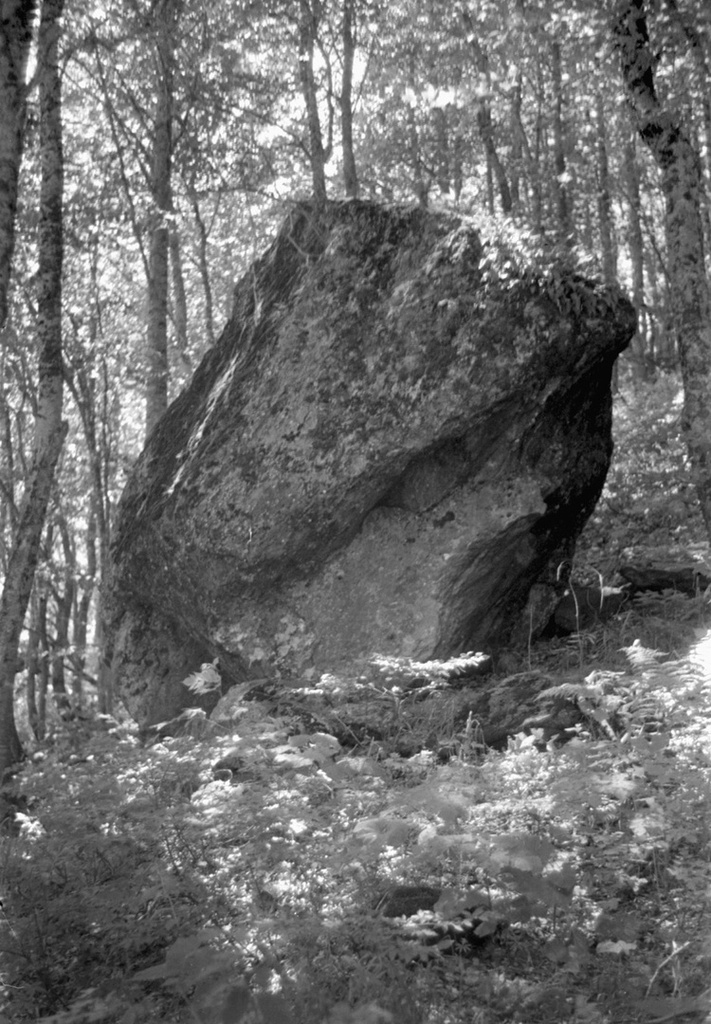 Лесной камень в лесных зарослях горной долины Северного Кавказа, 1 - 28 августа 1985, Карачаево-Черкесская АО, Карачаевский р-н. Долина реки Алибек.Сейчас Карачаево-Черкесская Республика.
