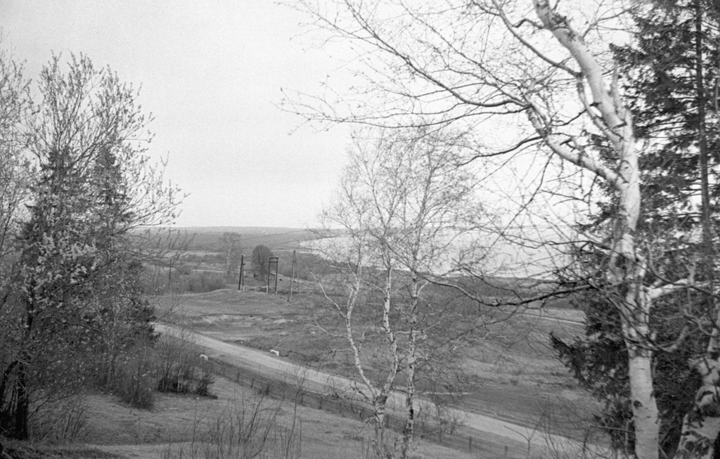 Берега Плещеева озера, 20 апреля 1962 - 20 мая 1962, Ярославская обл., г. Переславль-Залесский. 