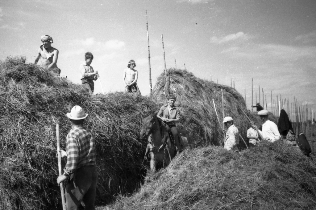 Скирдование сена, 1970 год, Пермская обл., Кудымкарский р-н