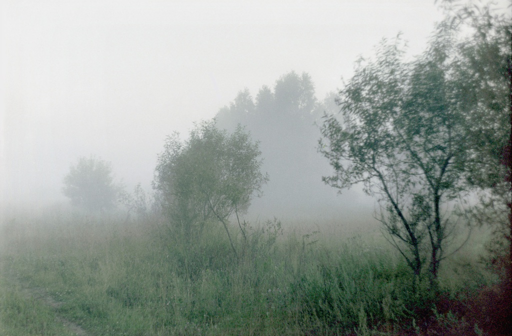 Вечерний туман в деревне, 1 июля 1998 - 30 августа 1998, Калужская обл., Тарусский р-н, с. Барятино. 