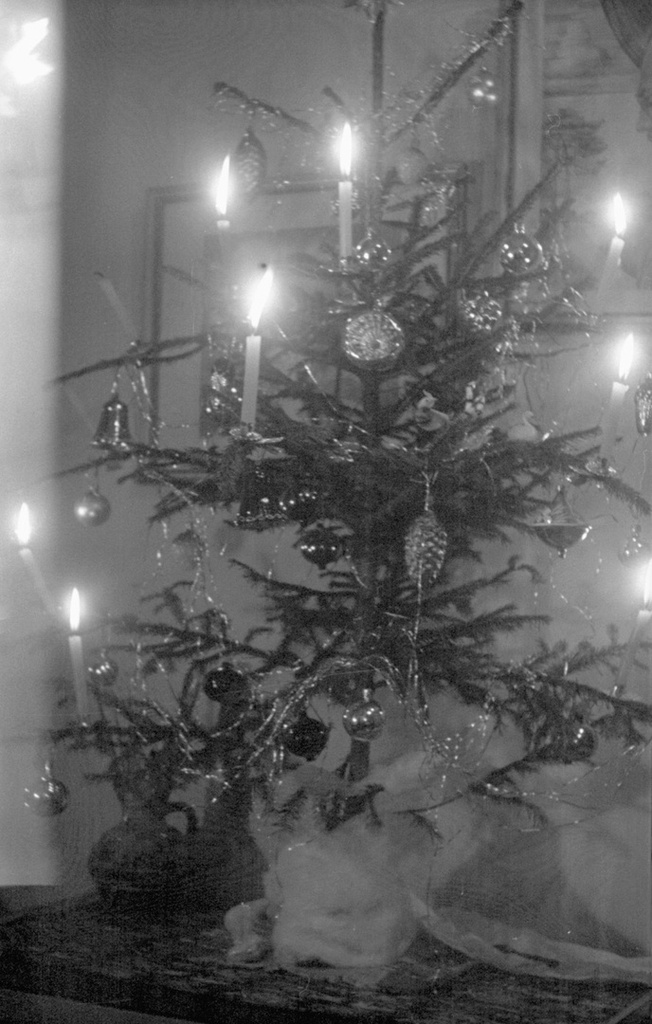 Новогодняя елка с игрушками и свечами, декабрь 1964, г. Москва. Видео «Самуил Маршак. "Круглый год"» с этой фотографией.