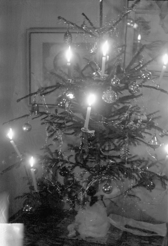 Новогодняя елка с игрушками и свечами, декабрь 1964, г. Москва. 