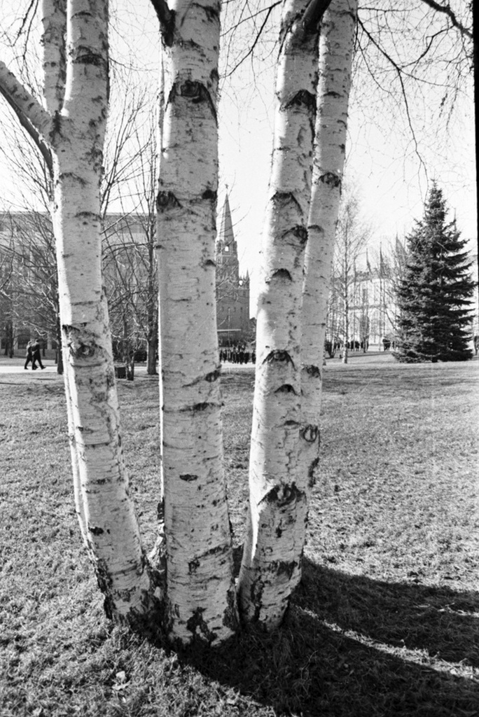 Весна в Кремле, март - май 1971, г. Москва