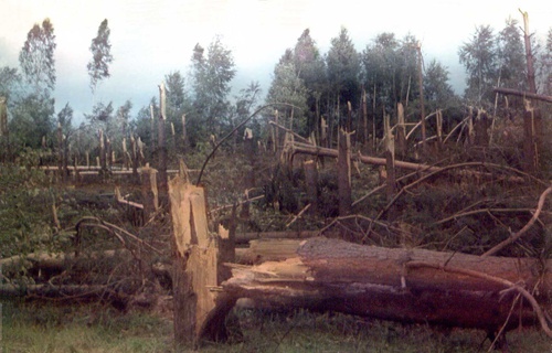 Ивановский смерч 1984 фото