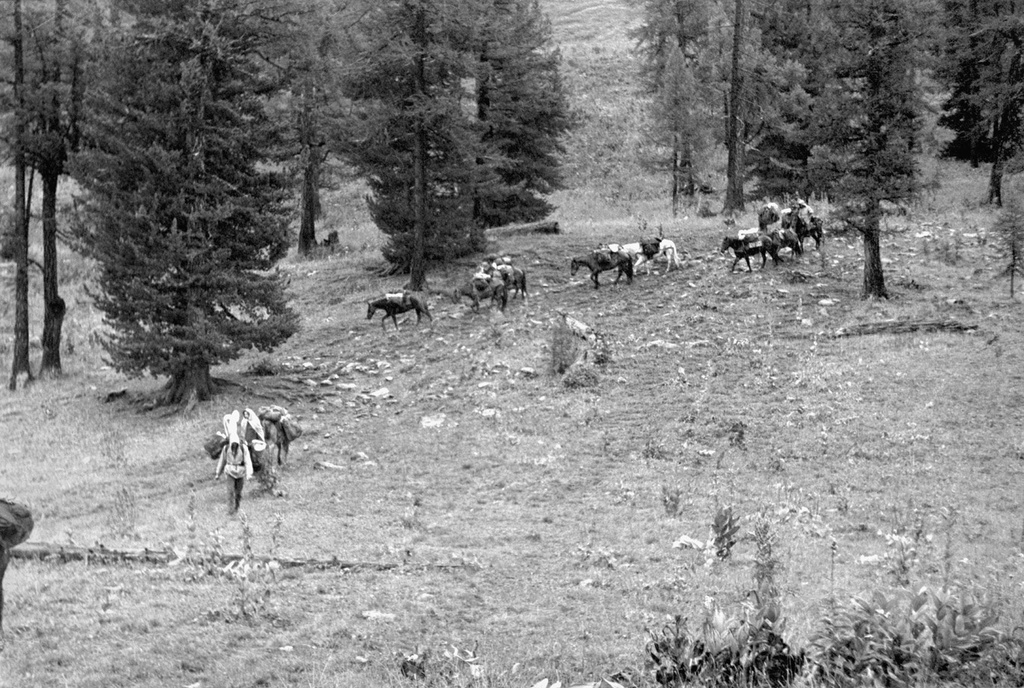 Группа туристов спускается в долину реки Тихая Горного Алтая, 23 августа 1989, Горно-Алтайская АО, Усть-Коксинский р-н. Выставка «Безмолвие Алтая» с этим снимком.