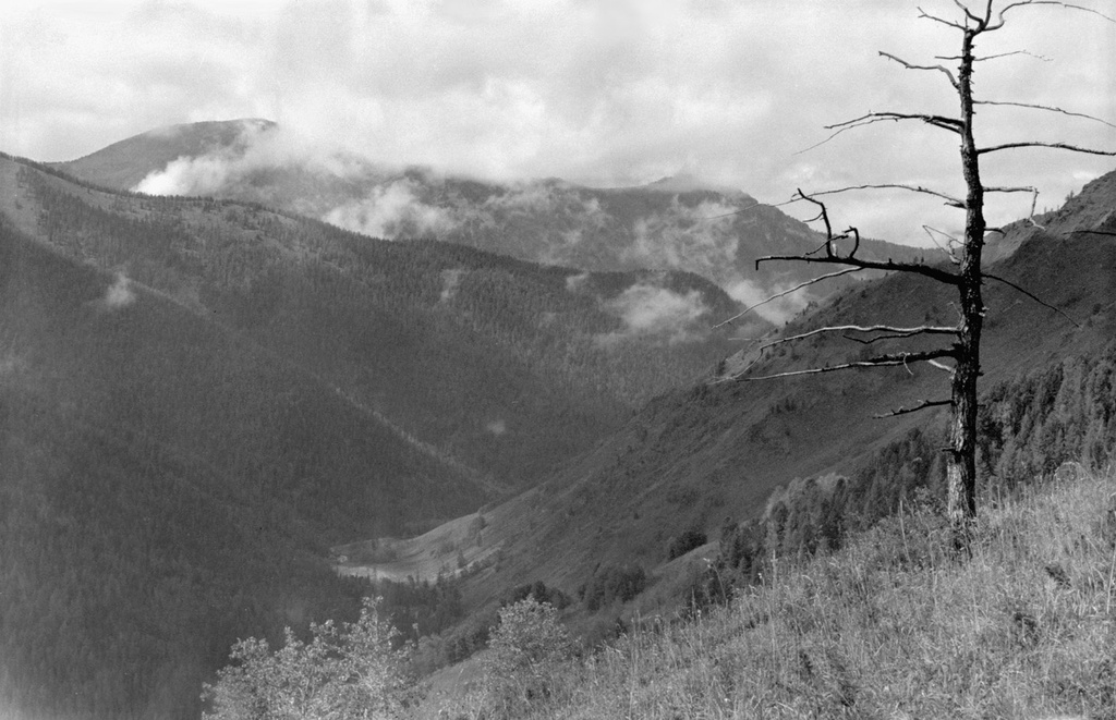 Перевалы Горного Алтая, 24 августа 1989, Горно-Алтайская АО, Усть-Коксинский р-н. Выставка «Безмолвие Алтая» с этим снимком.