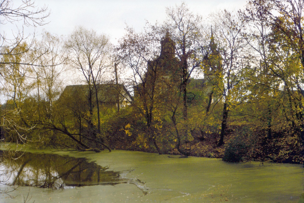 Заросший пруд, октябрь 1991, Калужская обл., Тарусский р-н, с. Роща