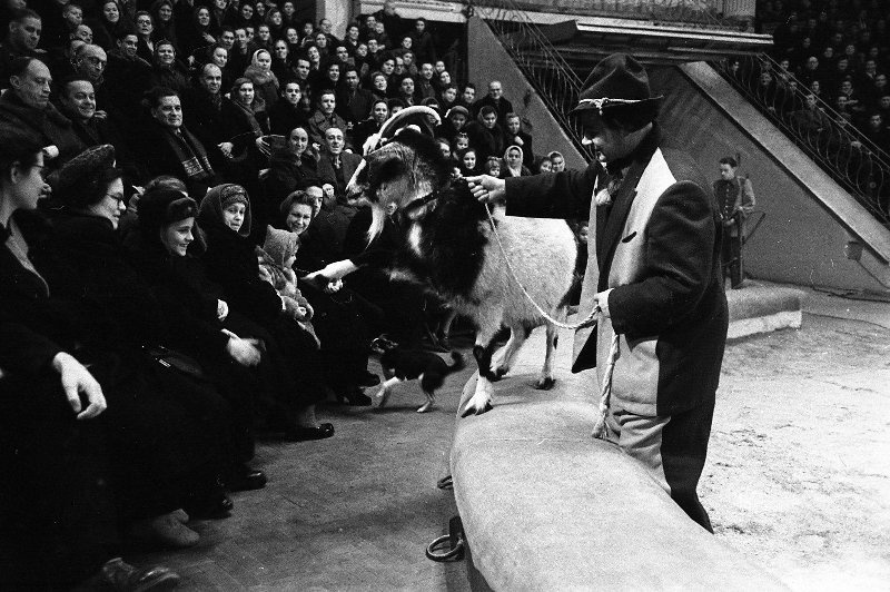 Клоун Борис Вяткин, 1956 год, г. Москва. Цирк на Цветном бульваре.