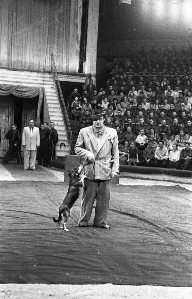 Клоун Борис Вяткин, 1954 - 1955, г. Москва. Московский цирк на Цветном бульваре.