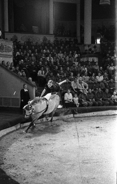 Наездник, 1955 год, г. Москва. Московский цирк на Цветном бульваре.