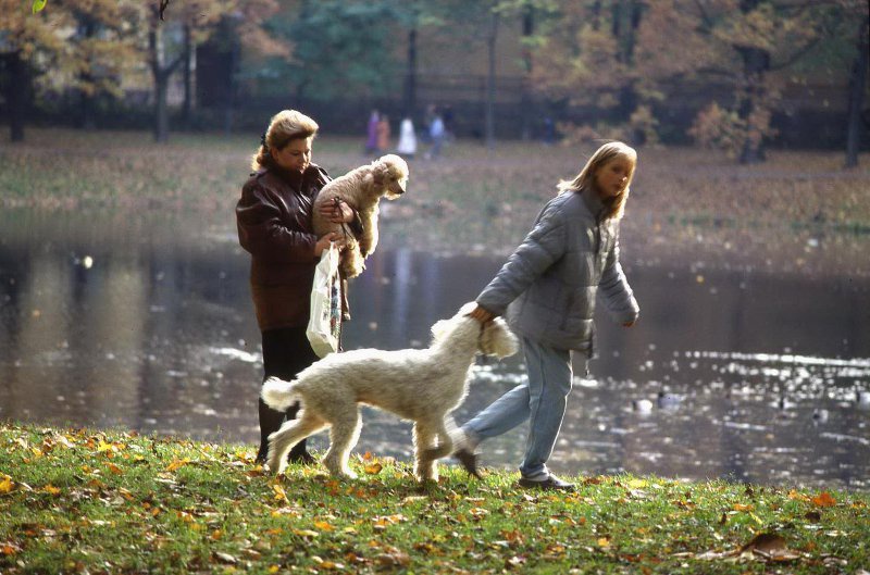 Уличная сценка, 1995 год, г. Санкт-Петербург. Видео «Осень!» с этой фотографией.&nbsp;