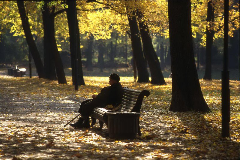 Осень... (»Одиночество»), 1995 год, г. Санкт-Петербург. Выставка «Осень целого века»&nbsp;и видео «Осень!» с этой фотографией.
