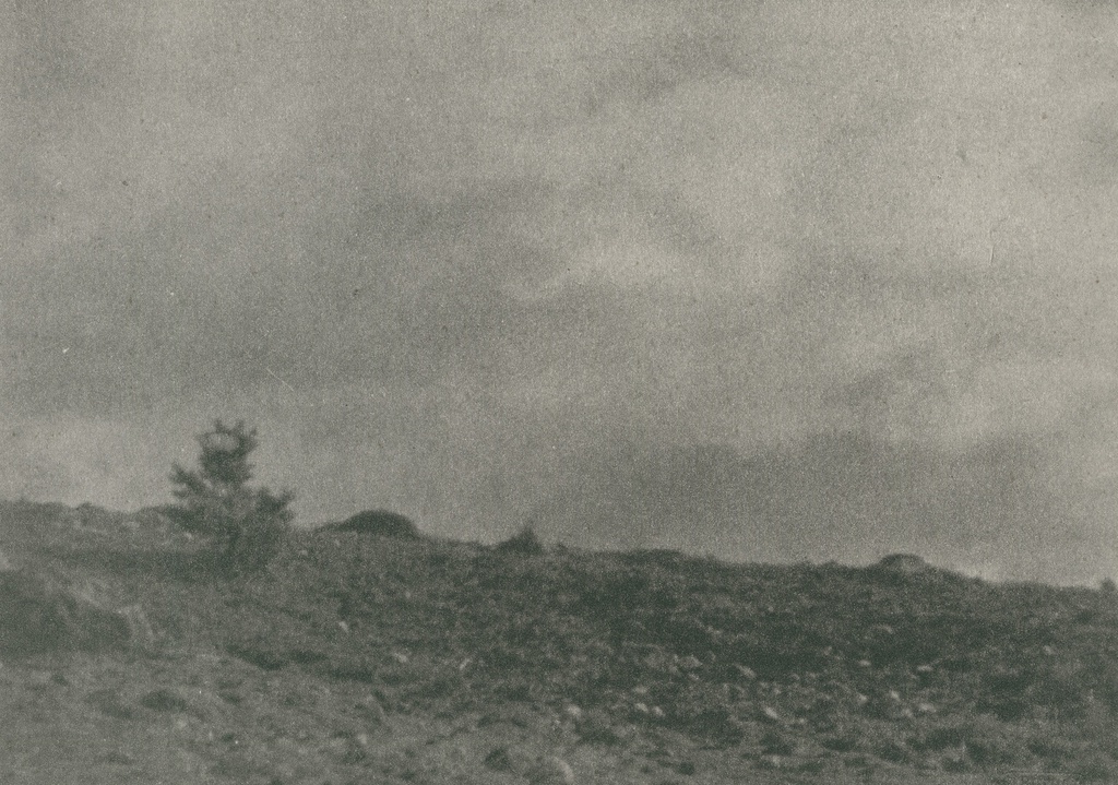 Пустошь, 1910-е