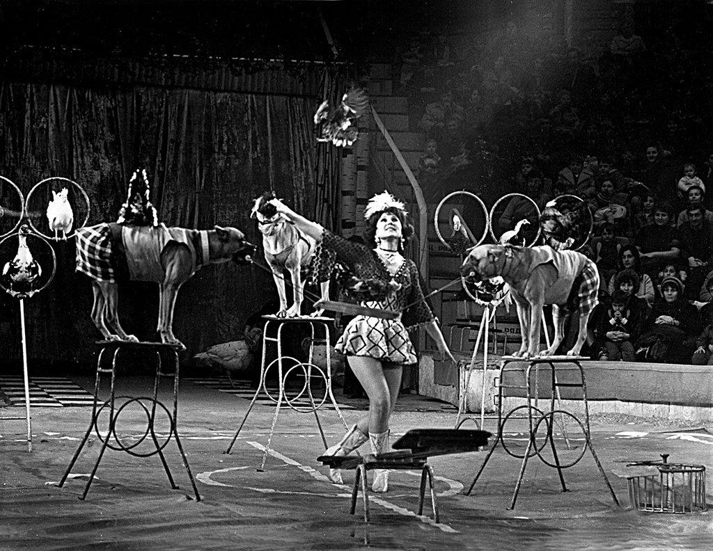 Фото \"Лилия Беляева «Птичий цирк»\", 1970 - 1989, Азербайджанская ССР, г ...