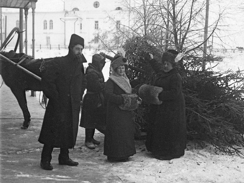 Привезли елку, 1910 - 1913, г. Ярославль