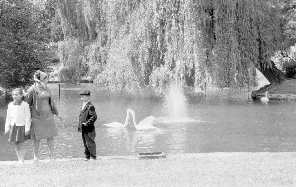 Мать уводит своих детей от озера с лебедями в парке Львова, июнь - август 1965, Украинская ССР, г. Львов. Выставка «Лебединая песня» с этой фотографией.&nbsp;
