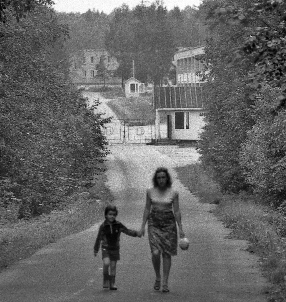 Фото Дорога к главному въезду в пионерлагерь, июнь - август 1985