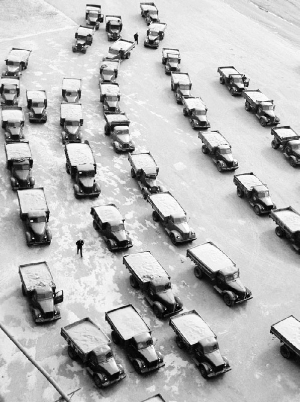 На целине, 1965 год