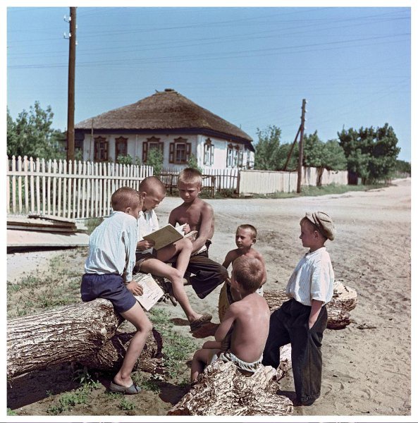 Юные читатели, 1960 год, Ростовская обл., станица Вешенская. Из архива журнала «Огонек».Видео «Читают все» с этой фотографией.&nbsp;