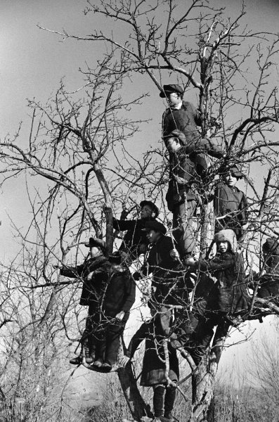 Колхозные дети, 1934 год. Выставка «Авангард Михаила Прехнера» с этой фотографией.