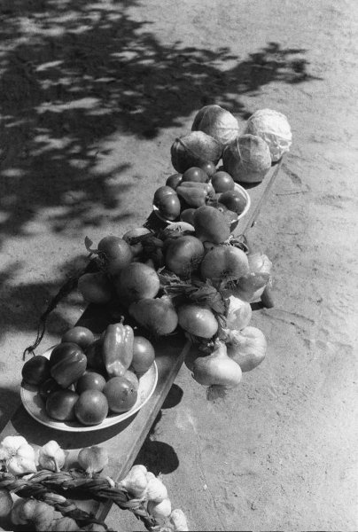 Новый урожай, 1930-е