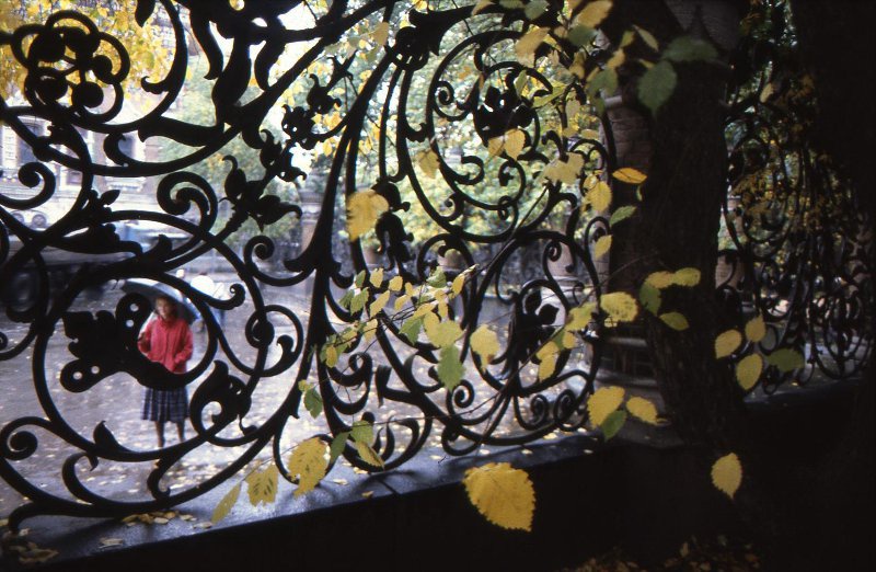 Решетка Михайловского сада, 1993 год, г. Санкт-Петербург. Выставка «Золотой октябрь» с этой фотографией.