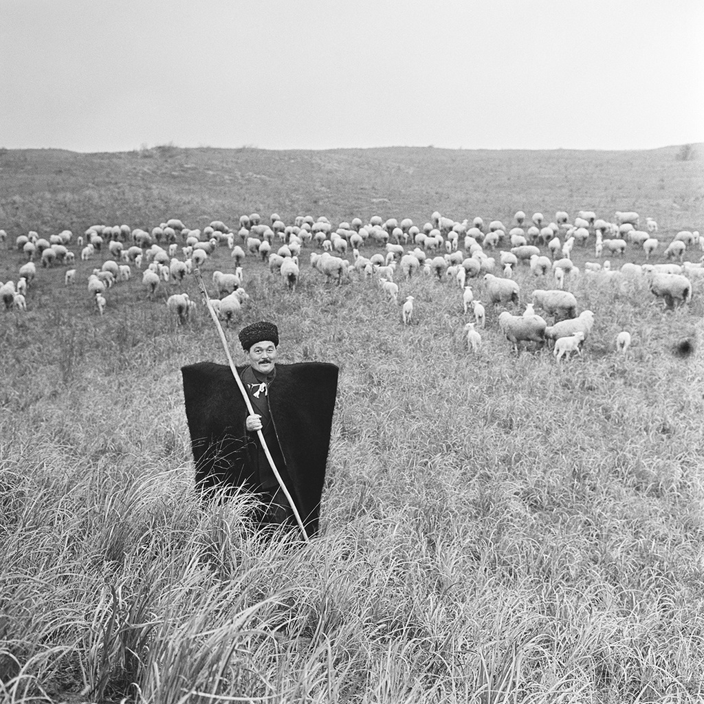 Пастух, 1960-е. Выставка «Пастухи» с этой фотографией.&nbsp;