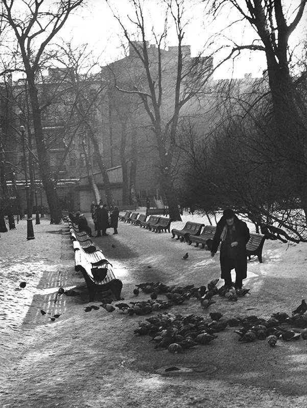 Во дворе на Литейном, 1970-е, г. Ленинград. Странный это город, особенно для москвича, когда в первый раз!