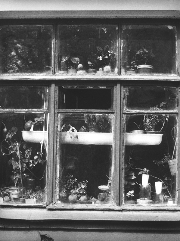 Окно, 1979 год, г. Торжок. Провинция – герани на окне, «мещанство». На самом деле – просто обычная жизнь, вдали от власти.Выставка «Свидетели повседневности» с этой фотографией.