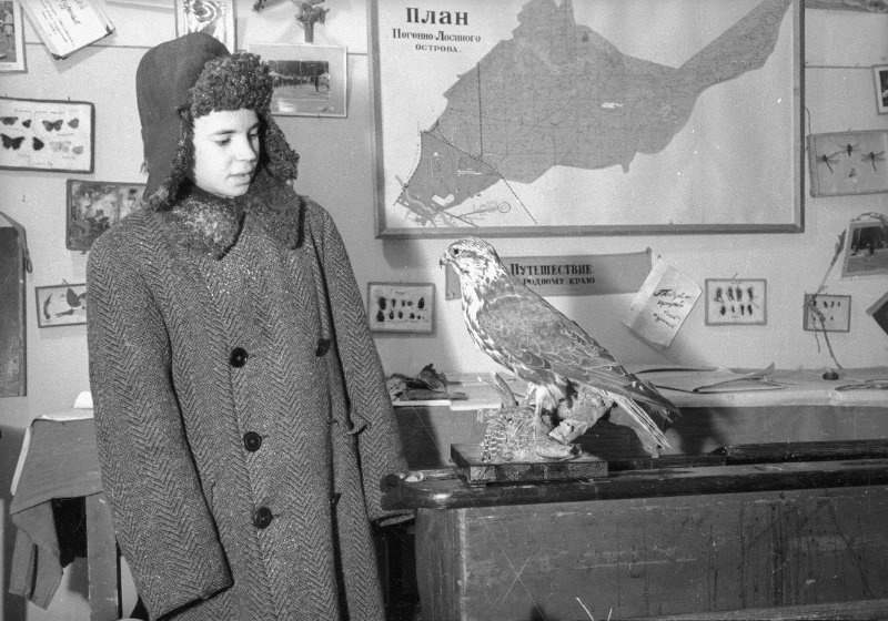 Учащийся Лосиноостровской школы № 57 в школьном музее, 1953 год, Московская обл.. Выставка «Будни 1953 года» с этой фотографией.
