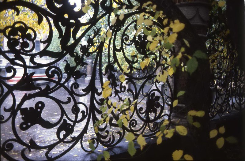Решетка Михайловского сада, 1993 год, г. Санкт-Петербург. Выставка «Настроение – Петербург» с этой фотографией.