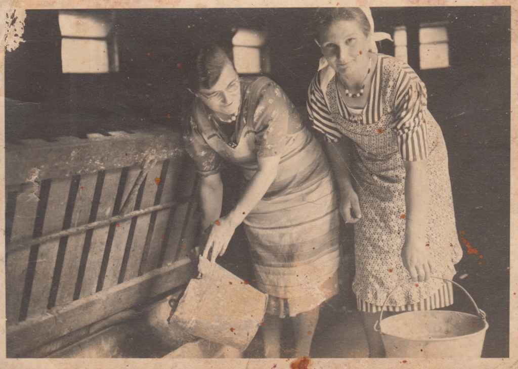 Восточная рабочая с хозяйкой на дойке, 1942 - 1945, Германия, г. Рута. Выставка «Остарбайтеры в Третьем рейхе» с этой фотографией.&nbsp;