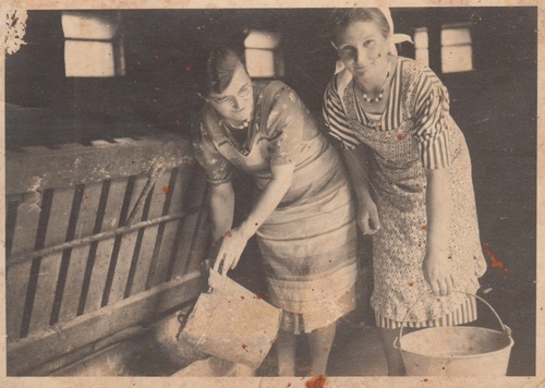 Восточная рабочая с хозяйкой на дойке, 1942 - 1945, Германия, г. Рута