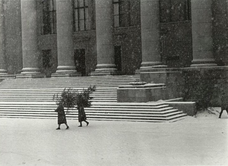 Перед Новым годом. Елки, декабрь 1960, Литовская ССР, г. Вильнюс. Выставки&nbsp;«Лучшие фотографии зимы»,&nbsp;«Про подарки»&nbsp;и «А снег идет, а снег идет, и все вокруг чего-то ждет…» с этой фотографией.