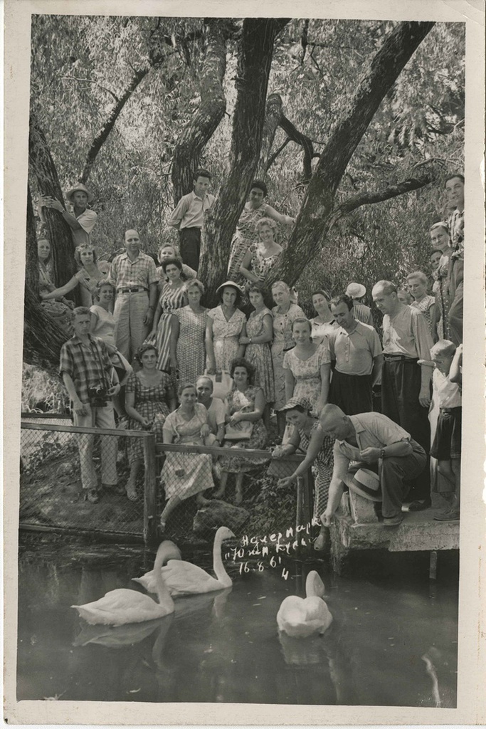 Парк «Южные Культуры», 16 августа 1961, Краснодарский край, г. Сочи, Адлер. Выставка «Лебединая песня» с этой фотографией.&nbsp;