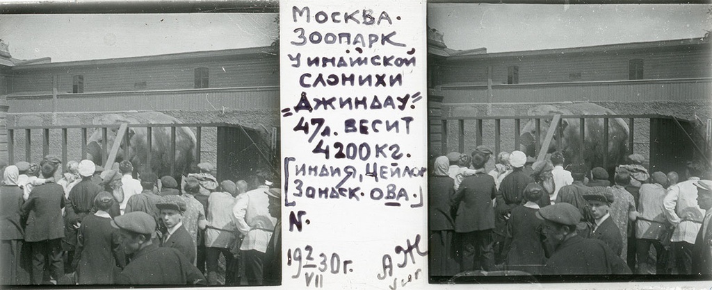 Зоопарк. Посетители зоопарка у клетки со слонихой, 2 июля 1930, г. Москва. Выставка «Архив доктора Живаго. Зоопарки двух столиц» с этой фотографией.